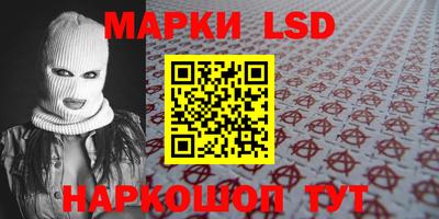 мдпв Бердск