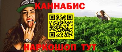мдпв Бердск