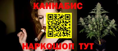 мдпв Бердск