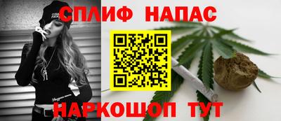 мдпв Бердск