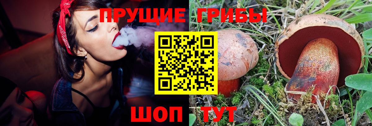 Дивногорск  Галлюциногенные грибы ЛСД  купить наркотик  Вход с VPN 
