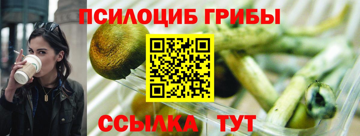 Галлюциногенные грибы ЛСД Дивногорск